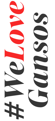 home_wedding_WeLoveGansos horizontal